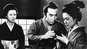 華岡青洲の妻 — foto 1