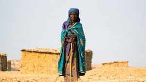 Territorio Africano 2 — foto 3