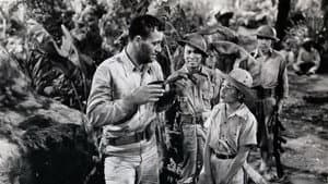Regreso a Bataan — foto 5