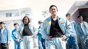 범털 — foto 1
