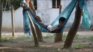சிக்கலான குடும்பத்தின் உறுப்பினர்கள் — foto 1