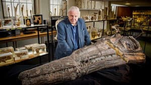 Attenborough and the Sea Dragon — foto 4