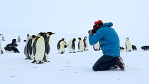 Antarctica, sur les traces de l'empereur — foto 3