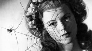 The Spider — foto 1