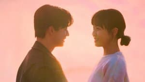 플레이, 플리 — foto 7