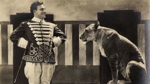 Maciste nella gabbia dei leoni — foto 1