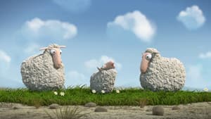 Oh Sheep! — foto 2