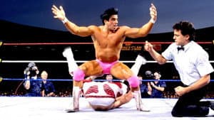 WWE SummerSlam 1992 — foto 5