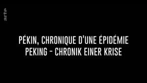 Pékin, chronique d'une épidémie — foto 1