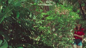 El loro — foto 1