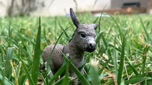 The Conversations of Donkey and Rabbit — foto 1