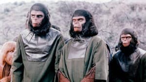 La batalla por el planeta de los simios — foto 5
