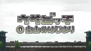 Episodio 13