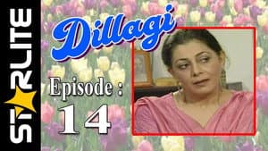 Episodio 14