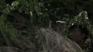Episodio 29