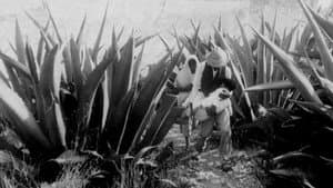 El despojo — foto 1