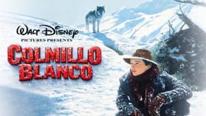 Colmillo blanco — foto 10