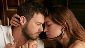Aile — foto 4