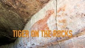 Tiger on the Rocks — foto 1