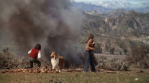 Lassie: The New Beginning — foto 2