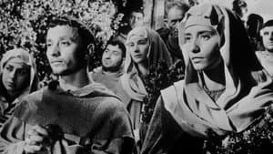 Francesco, giullare di Dio — foto 4