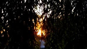 ¿Nos hablan los muertos? — foto 5
