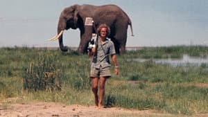 A Life Among Elephants — foto 6