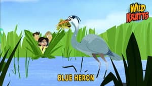 Episodio 11