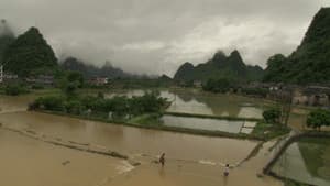 Watermarks - Three Letters from China — foto 6