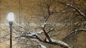 around around around & down — foto 4