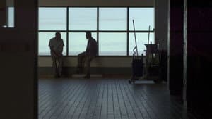 Oscillations — foto 2