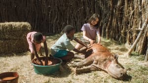 Thabo - Das Nashornabenteuer — foto 1