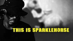 This Is Sparklehorse — foto 1