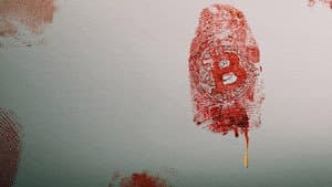 No confíes en nadie: Tras la pista del rey de las criptomonedas — foto 4