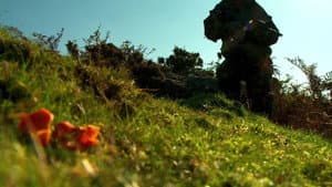 Stag Hunt — foto 1