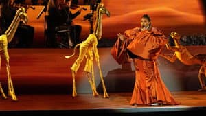El Rey León en el Hollywood Bowl — foto 9