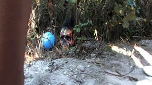 Secret Beach Party — foto 1