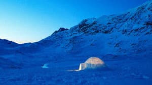 The Last Igloo — foto 4