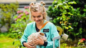 Rocca verändert die Welt — foto 1