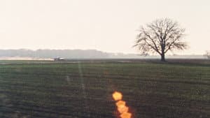 Lemminge — foto 1