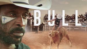 Bull — foto 5