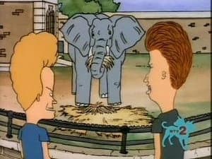 Episodio 10