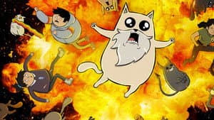 Gatitos explosivos — foto 8