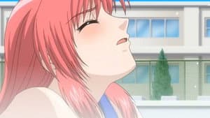 ¡Hitomi-nee, embarazada!