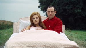 Le Grand Amour — foto 4
