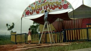 Mariposas S.A. — foto 1