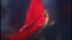 Cirque du Soleil: La Nouba — foto 3