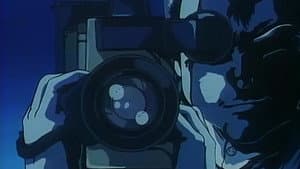 冒険してもいい頃 — foto 2