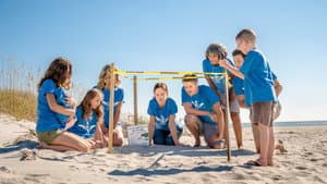 The Beach House — foto 8