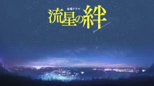 流星の絆 — foto 3